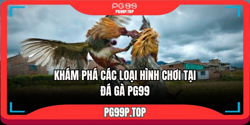 Hình thức chơi phổ biến nhất tại sân chơi đá gà PG99 