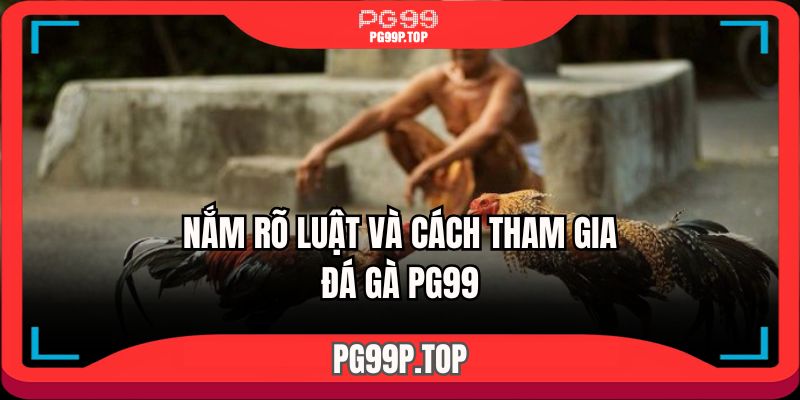 Cập nhật luật cùng cách tham gia đá gà PG99 mới nhất